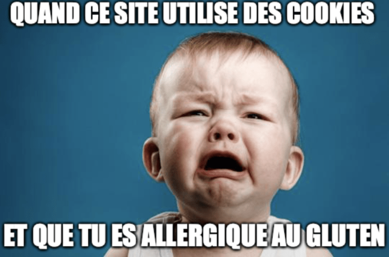 « ce site utilise des cookies »😤 Reprenons depuis le début
